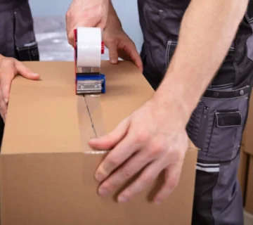 shutterstock 1529073902 1 800x534.jpg